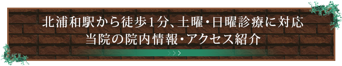 北浦和駅から徒歩1分、土曜・日曜診療に対応当院の院内情報・アクセス紹介