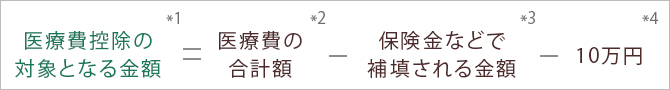 医療費控除の 対象となる金額 医療費の 合計額 保険金などで 補填される金額 10万円